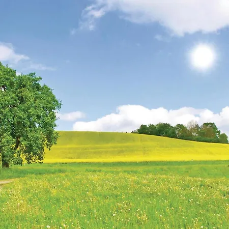 Amazing In Krems Iiwarderbrueck * Gols